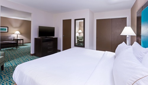 Suite, 1 cama de matrimonio grande con sofá cama