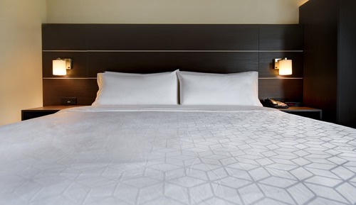 Habitación estándar, 1 cama de matrimonio grande (Roll-In Shower)