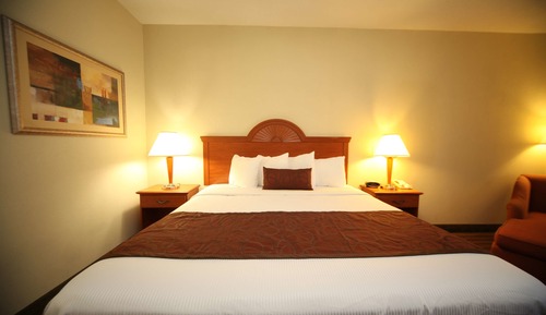 Habitación Deluxe, 1 cama de matrimonio grande, no fumadores, frigorífico y microondas