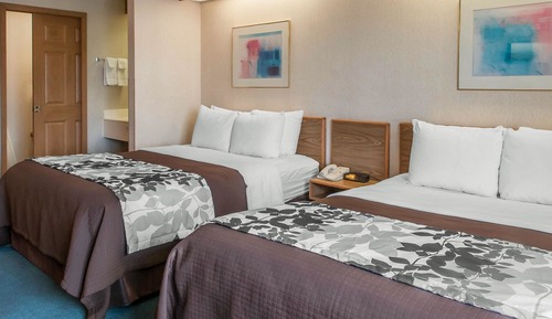 Habitación estándar, 2 camas de matrimonio, no fumadores