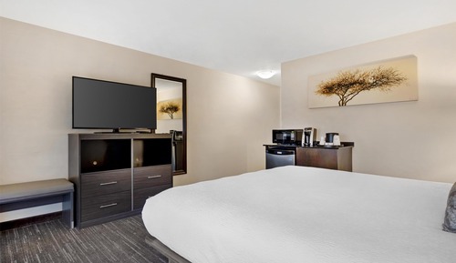 Habitación estándar, 1 cama de matrimonio grande, no fumadores, frigorífico y microondas