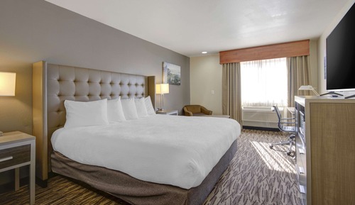Habitación estándar, 1 cama de matrimonio grande, no fumadores, frigorífico