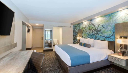 Suite estudio, 1 cama de matrimonio grande, no fumadores