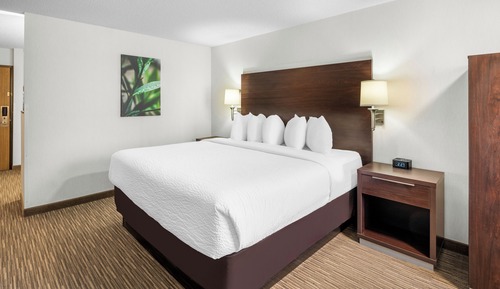 Habitación estándar, 1 cama de matrimonio grande