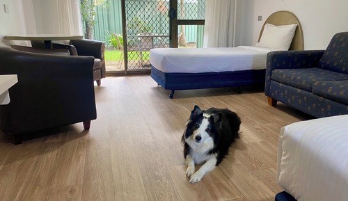 Habitación Deluxe con 1 cama doble o 2 individuales
