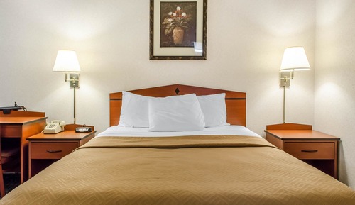 Habitación estándar, 1 cama de matrimonio, no fumadores