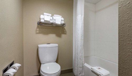 Habitación estándar, 1 cama de matrimonio grande, no fumadores
