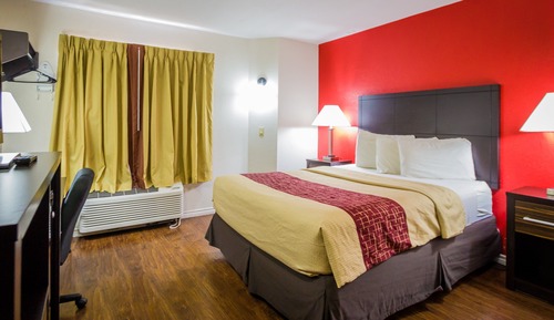 Habitación Deluxe, 1 cama de matrimonio, accesible para personas con discapacidad (Roll-In Shower)