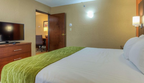 Suite estudio estándar, 1 cama de matrimonio grande con sofá cama, no fumadores