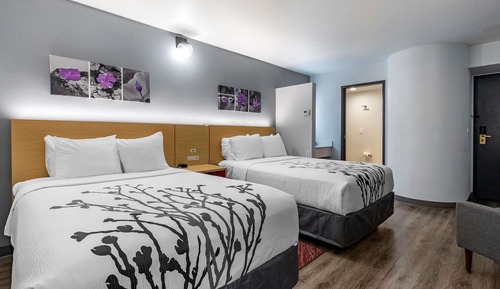 Habitación estándar, 2 camas dobles, no fumadores