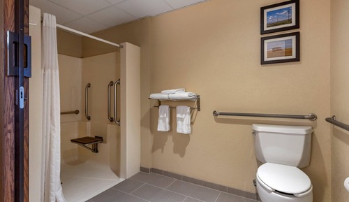 Habitación estándar, 1 cama de matrimonio, accesible para personas con discapacidad (Roll-In Shower)