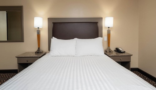 Habitación estándar, 1 cama de matrimonio, Se admiten mascotas