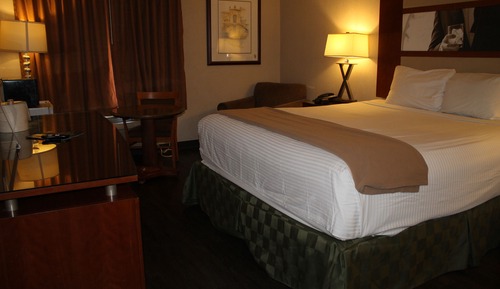 Suite Deluxe (1 King Bed Non Smoking)
