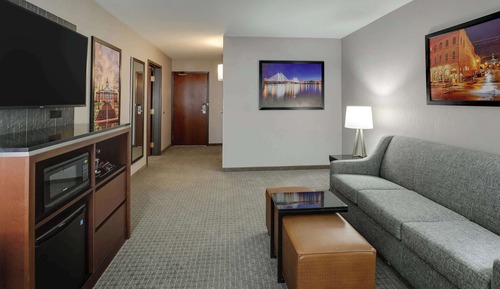 Suite, 1 cama de matrimonio grande con sofá cama, frigorífico y microondas (2 Rooms, Tub)