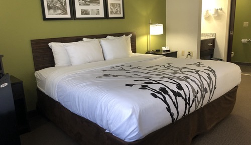 Habitación estándar, 1 cama de matrimonio grande, no fumadores, frigorífico y microondas