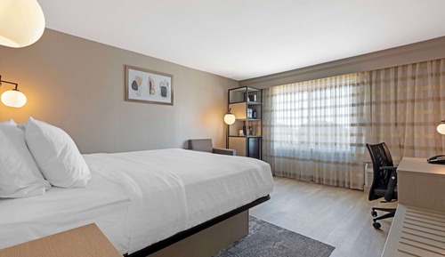 Habitación estándar, 1 cama de matrimonio grande, no fumadores, frigorífico y microondas