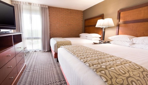 Suite, 2 camas de matrimonio, frigorífico y microondas (2 rooms Sofabed)
