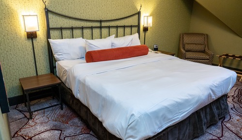 Habitación estándar, 1 cama de matrimonio grande
