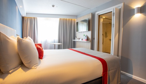 Habitación estándar, 1 cama doble (with Free Hot Breakfast)