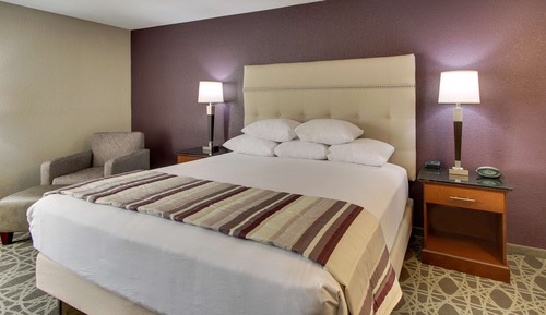 Habitación Deluxe, 1 cama de matrimonio grande, frigorífico y microondas (Roll in Shower)