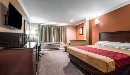 Suite estudio Deluxe, 1 cama de matrimonio grande, no fumadores