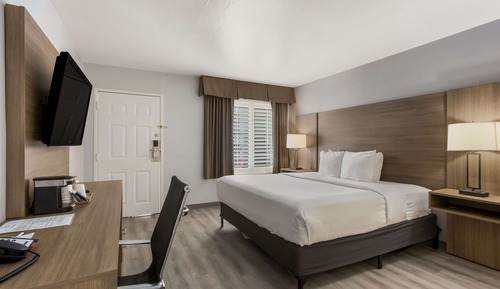 Habitación estándar, 1 cama de matrimonio grande, no fumadores, frigorífico y microondas