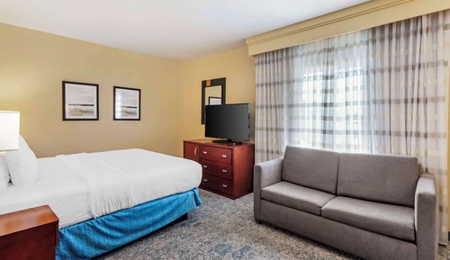Suite, 1 cama de matrimonio grande, no fumadores (with Sofabed)