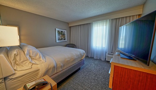 Suite, 1 cama de matrimonio grande con sofá cama