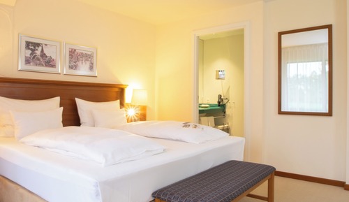 Suite junior, vistas al parque