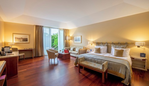 Suite Deluxe, 1 habitación