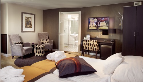 Habitación Deluxe, 1 cama doble