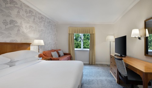 Habitación Deluxe, 1 cama de matrimonio grande