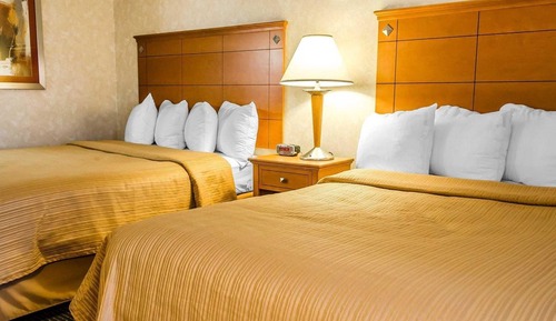 Habitación estándar, 2 camas de matrimonio, no fumadores