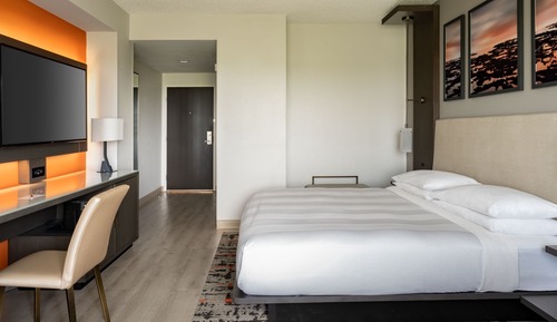 Habitación, 1 cama de matrimonio grande con sofá cama (Pure)