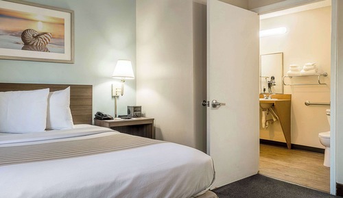 Habitación, 1 cama doble, accesible para personas con discapacidad, no fumadores (Efficiency)