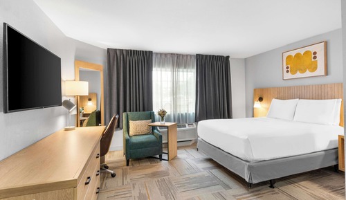 Suite, 1 cama de matrimonio grande (One Bedroom)