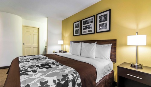 Habitación estándar, 1 cama de matrimonio grande, no fumadores