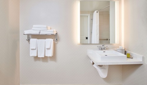 Habitación Deluxe, 1 cama de matrimonio grande (Roll-In Shower)