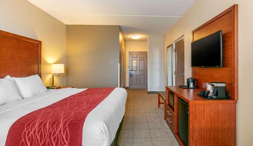 Habitación estándar, 1 cama de matrimonio grande, no fumadores