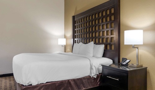Habitación estándar, 1 cama de matrimonio grande, no fumadores
