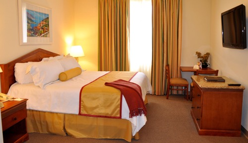 Suite estudio, 1 cama de matrimonio grande, cocina básica