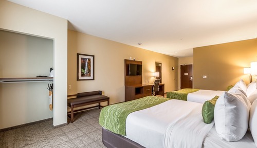 Suite, varias camas, no fumadores