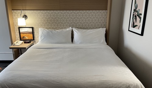 Habitación estándar, 1 cama de matrimonio grande