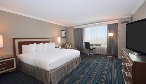 Suite presidencial, 1 cama de matrimonio grande