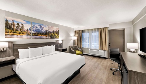 Habitación estándar, 1 cama de matrimonio grande, no fumadores (Pet-Friendly)