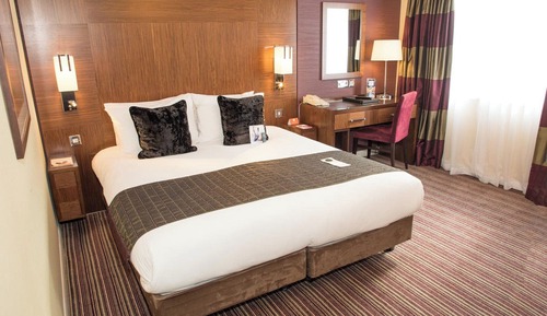 Habitación estándar, 1 cama doble