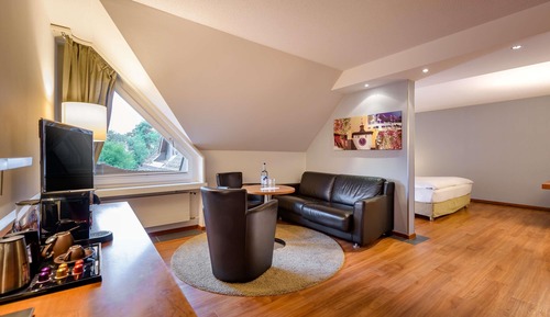 Habitación Premium, 1 cama de matrimonio grande