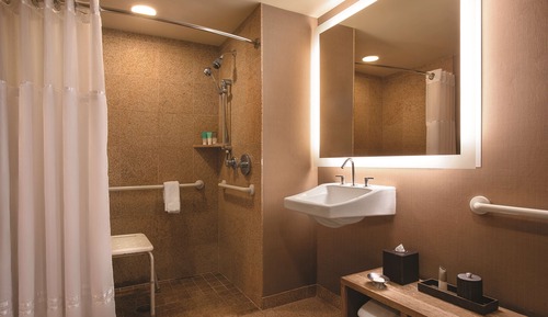 Habitación, 1 cama de matrimonio grande, accesible para personas con discapacidad (with Shower)