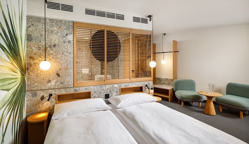 Habitación con 1 cama doble o 2 individuales, vistas al jardín