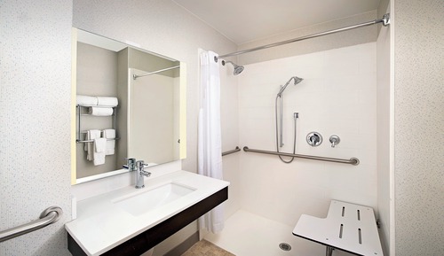 Habitación estándar, 1 cama de matrimonio grande (Roll-In Shower)